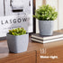12cm Plant Pots Sandstone Grey - Set of 3
